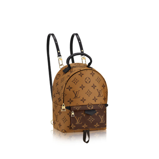 Louis Vuitton Palm Springs Reverse Monogram Mini Brown