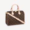 Louis Vuitton Speedy 25 Monogram