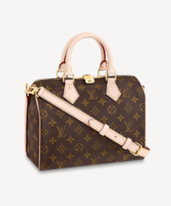 Louis Vuitton Speedy 25 Monogram