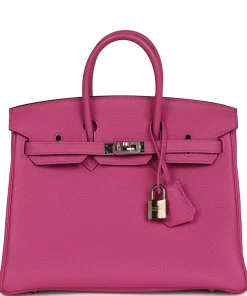 Hermès Birkin 25 Magnolia Togo Palladium