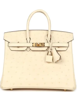 Hermès Birkin 25 Nata Ostrich Gold Hardware