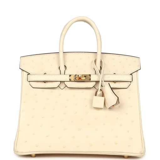 Hermès Birkin 25 Nata Ostrich Gold Hardware