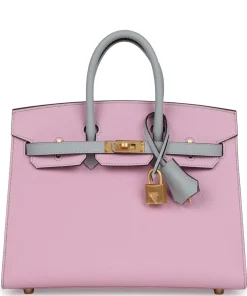 Hermès (HSS) Birkin 25 Mauve Sylvestre and Bleu