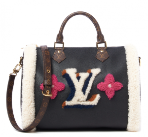 LOUIS VUITTON Calfskin Monogram Teddy Speedy Bandouliere 30 Black