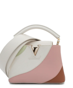 LOUIS VUITTON Capucines Mini bag in multicolor leather