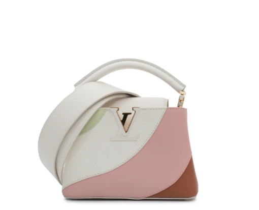 LOUIS VUITTON Capucines Mini bag in multicolor leather