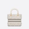 Dior Medium Lady D-Lite Bag