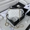 Chanel Vanity Top Handle White Braided Back