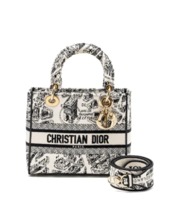 DIOR MEDIUM LADY D-LITE BAG DE PARIS BLACK/WHITE