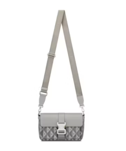 Dior Hit The Road Diamond CD Grey Bag